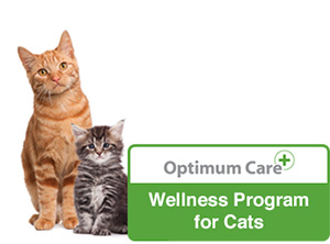 wellness-cats
